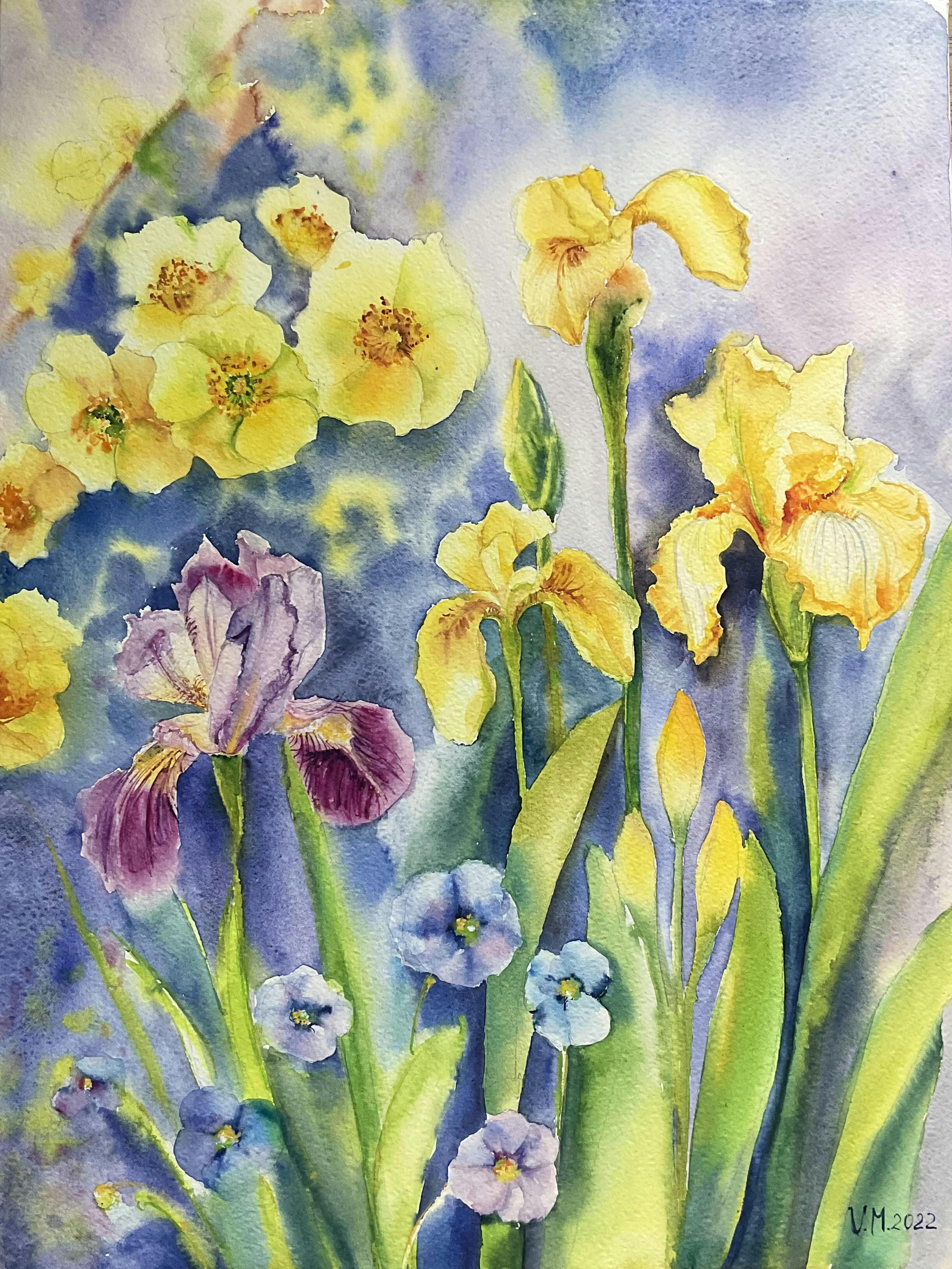 Yellow blue irises